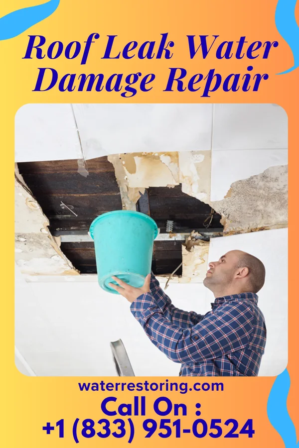 Roof Leak Water Damage Repair in Arlington, WA